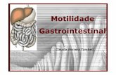 Motilidade gastrointestinal [Modo de Compatibilidade] · MOTILIDADE GASTROINTESTINAL Objetivo: Estudar os mecanismos fisiológicos responsáveis pela motilidade gastrointestinal Roteiro: