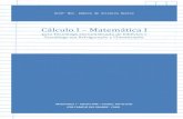 Cálculo I Matemática I - …pertenceamatematica.pbworks.com/w/file/fetch/109982494/Unidade1... · Circunferência, Trigonometria: ... Unidade A Geometria Analítica Básica ...