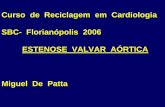 Curso de Reciclagem em Cardiologia SBC- …sociedades.cardiol.br/sc/profissional/acervo/palestras/23-09-2006/... · * Arritmias : bradiarritmias / arritmias ventriculares / FA ANGINA