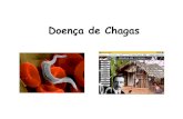 Doença de Chagas 2013 - lineu.icb.usp.brlineu.icb.usp.br/~farmacia/ppt/Chagas_2013.pdf · Hemocultura Xenodiagnóstico PCR Parasitológico Sorológico Detecção de IgM FASE AGUDA