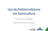 Uso de Antimicrobianos em Suinocultura · - Proibição de uso: quinolonas, b-lactâmicos, cefalosporinas, aminoglicosídeos, - Uso restrito como curativo –rastreabilidade acompanhada.