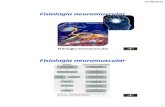 Fisiologia Neuromuscular - Professor Alexandre Rochaprofessoralexandrerocha.com.br/.../08/Aula-3_Contracao-muscular.pdf · Fisiologia neuromuscular . 21/08/2016 2 ... sistema de canais