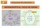 BIOENERGÉTICA: CICLO DE KREBS - aabraga.ptaabraga.pt/.../Aula_4_Estudo_da_Bioenergetica_Ciclo_de_Krebs.pdf · Ciclo de Krebs – Considerações Gerais • Esta denominação decorre