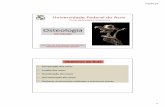 Aula 3- Osteologia - Introduçãoanatovet.weebly.com/uploads/1/3/1/6/13166648/aula_3-_osteologia... · Desenvolvem-se em órgãos moles longe do esqueleto Exemplos: Osso peniano no