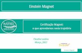 Apresentação do PowerPoint - Hospital Summit · Einstein Magnet Como surgiu Magnet? •Pesquisa com 163 instituições; •Resultados: –41 (25%) possuíam qualidades que permitiam