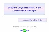 Modelo Organizacional e de Gestão da Embrapa - … · Modelo Organizacional e de Gestão da Embrapa Antonio Flavio Dias Avila. INPE, São José dos Campos, 12 de julho de 2006