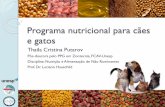 Programa nutricional para cães e gatos - fcav.unesp.br · Nutrição x tempo Exigências básicas Estágios da vida Alimentos Funcionais, Naturais, entre outros 1930’s-80’s ‘90