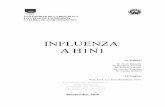 INFLUENZA A H1N1 - BVS Enfermeria | Facultad de ... · Frente al lineamiento propuesto por la Cátedra de Administración “Seguridad del Usuario”, vimos oportuno relacionar nuestra