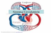 Sistema Circulatório - ensino.alexanderfleming.com.br · Sistema Circulatório PDF created with pdfFactory Pro trial version