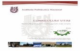 CURRICULUM vITAE - crpltabasco.ipn.mx · CURRICULUM VITAE Centro Regional para la Producción más Limpia ... Implementación y Desarrollo de un Sistema de Administración Ambiental