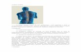 Cirurgia da coluna vertical - Clínica Neuronneuronrn.com.br/files/cirurgia-coluna-vertebral.pdf · em pacientes portadores de lombalgia crônica secundária a artrose e sobrecarga