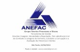Grupo Técnico Processos e Riscos - ANEFAC · Contador e Auditor regras da IFAC ... (2008 –2013); Gerenciamentos de riscos, Ética e Independencia (2004 a 2010). Foi responsável
