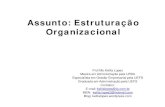 Slides Estruturação Organizacional - Keilla Lopes · 1.Estruturação Organizacional (Diagnóstico organizacional) • Certamente a estrutura formal da empresa é o foco da Estruturação
