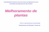 AULAS MELHORAMENTO DE PLANTAS 1 - … · MELHORAMENTO GENÉTICO DE PLANTAS ... “VARIEDADES – CULTIVARES” §Tipos de cultivares: