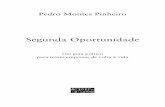 Pedro Montes Pinheiro - PDF Leyapdf.leya.com/2013/Jul/segunda_oportunidade_uoit.pdf · B. Minuta de declaração escrita de qualquer credor..... 223 C. Minuta de Petição Inicial.....