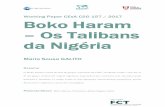 Working Paper CEsA CSG 157 / 2017 Boko Haram Os …cesa/RePEc/cav/cavwpp/wp157.pdf · WORKING PAPER / DOCUMENTO DE TRABALHO O CEsA não confirma nem infirma ... O CEsA está atualmente