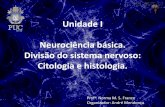 Unidade I Neurociência básica. Divisão do sistema …bio-neuro-psicologia.usuarios.rdc.puc-rio.br/assets/01_sistema... · I - Divisão anatômica do Sistema Nervoso. Sistema nervoso