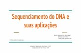 Sequenciamento do DNA e suas aplicaçõesgraduacao.iqsc.usp.br/files/Sequenciamento-do-DNA-e-suas-aplica... · Introdução Importância Projeto Genoma Humano 10/06/99 - 14/04/03