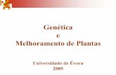 Genética e Melhoramento de Plantasevunix.uevora.pt/~apeixe/Aulas/geneticaemelhoramento/Aula OGMS.pdf · Constituído por uma sequência de apenas quatro nucleótidos. Os diferentes