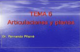 TEMA 6 Articulaciones y planos - …doctorfernandopifarre.com/apuntes/Tema06.pdf · pronada, el plano plantar del antepié se bloquea paralelo ... estudiamos plano sagital (FD/FP)