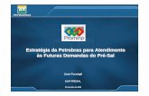Estrat égia da Petrobras para Atendimento às Futuras …antigoprominp.petrobras.com.br/objects/files/2008-07/2138_1... · Alerta A apresentação pode conter previsões de eventos