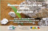 Remineralização de Solos Agrícolas - cetem.gov.br · Cerrados Introdução A utilização de pó-de-rocha (rochagem) tem como objetivo a diversificação de fontes de nutrientes,