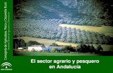 Datos sector agrario y pesquero 2016 - Junta de … sector agrario y... · La participación del sector agrario en el PIB total andaluz supera a la aportación del sector agrario