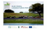 DLBC RURAL CANDIDATURAS PDR 2020 - rederural.gov.ptºo_de_divulgaºúo_PDR... · programação que consagram a política de desenvolvimento económico, social e territorial para promover,