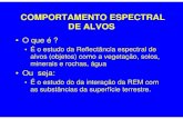 COMPORTAMENTO ESPECTRAL DE ALVOS - …sites.poli.usp.br/d/ptr2355/2009_1/Aula_SR_2355_2junho2009.pdf · Assinatura Espectral • Intensidade relativa com que cada corpo reflete ou