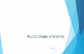 Microbiologia ambiental - docs.ufpr.brmicrogeral/2014BIO009Microagua.pdf · Água potável 2,5 bilhões de pessoas não têm acesso ao saneamento básico –países em desenvolvimento.