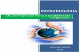 AULAS PRÁTICAS PARA A ENGENHARIA AMBIENTALweb.unifoa.edu.br/portal_ensino/mestrado/mecsma/arquivos/2013/pd1… · 1 MICROBIOLOGIA APLICADA A ENGENHARIA AMBIENTAL A microbiologia