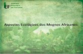 Aspectos Ecológicos dos Mognos Africanos · limita-se às regiões tropicais úmidas, de baixa altitude, da áfrica ... quadrangulares (figuras 20-4 e 23-B), fortemente achatadas,