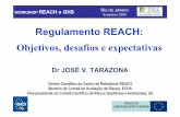 RegulamentoREACH: Objetivos, desafiose expectativas · PESO DACARGA AACC dosEEMM Indústria SISTEMA ANTERIOR REACH Principais diferenças introducidas pelo REACH. ... EVALUACIÓN