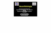 Neurofisiologia - nnc.icb.ufmg.br · Neurofisiologia Profª Grace Schenatto Pereira Núcleo de Neurociências – NNc – Bloco A4, sala 168 Departamento de Fisiologia e Biofísica