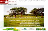 Competitividade e Negócios Sustentáveis no Cerrado ... e Negócios... · A agricultura orgânica representa apenas 0,50% da área agrícola e 1,75% dos produtores. Estima-se que