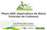 Plano ABC (Agricultura de Baixa Emissão de Carbono) · Luiz Adriano Maia Cordeiro Eng.Agr., D.S., Pesquisador, Embrapa Sede Departamento de Transferência de Tecnologia (DTT) Plano