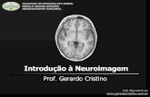 Introdução à Neuroimagem - Dr. Gerardo Cristinogerardocristino.com.br/novosite/aulas/Neuroanatomia/Aulas/Outras/... · Neuroimagem Tomografia Computadorizada (TC) Indicações