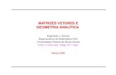 Matrizes Vetores e Geometria Analítica - Instituto de ...jardim/ma620/livro-ga.pdf · Matrizes Vetores e Geometria Anal´ıtica Marc¸o 2006. Prefacio´ xi Cap´ıtulo 1 Sec¸oes˜