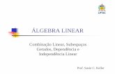 ÁLGEBRA LINEAR - Moodle UFSC · ÁLGEBRA LINEAR Combinação Linear, Subespaços Gerados, Dependência e Independência Linear Prof. Susie C. Keller