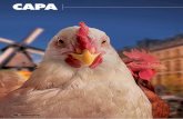 CAPA - hubbardbreeders.com · FEEDFOOD.COM.BR 39 um elevado consumo interno, 188 ovos per capita, o segmento exporta boa parte da produção. Em 2011, por exemplo, foram 10,6 bilhões