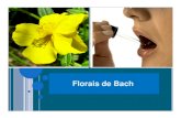 Aula de florais - we.riseup.netde+florais.pdf · Os florais de Bach,ancoram na personalidade as virtudes ... Utiliza flores e não partes da pla Utiliza flores e não partes da plantanta