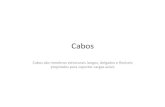 Cabos - UFJF · Cabos Cabos são membros estruturais longos, delgados e flexíveis projetados para suportar cargas axiais
