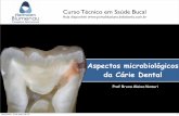Aspectos microbiológicos da Cárie Dental · CÁRIE DENTAL Do#La&m#“Carious”# ... devido a sua capacidade de colonizar o dente, e produzir uma placa aderente. Pioneiro na colonização