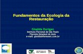 Fundamentos da Ecologia da Restauraçãosigam.ambiente.sp.gov.br/sigam3/Repositorio/222/Documentos/2010_R… · ECOLOGIA DA RESTAURAÇÃO: Disciplina que investiga cientificamente