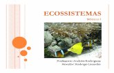 Aula5 2012 Ecossistemas - hidro.ufcg.edu.brhidro.ufcg.edu.br/twiki/pub/CienciasAmbienteAndrea/MaterialDaDisci... · O ECOSSISTEMA é a unidade básica do estudo da ecologia