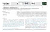REVISTA BRASILEIRA DE Entomologia - core.ac.uk · Revista Brasileira de Entomologia 60 (2016) 248–254 REVISTA EntomologiaBRASILEIRA DE A Journal on Insect Diversity and Evolution