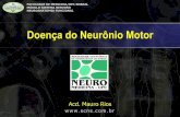 DOENÇA DO NEURÔNIO MOTOR - …gerardocristino.com.br/.../Neuroanatomia/...Doenca_Neuronio_Motor.pdf · musculares de uma só unidade motora, visíveis na superfície da pele. •Espasmos: