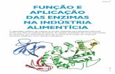 FERMENTAÇÃO FUNÇÃO E APLICAÇÃO DAS ENZIMASaditivosingredientes.com.br/upload_arquivos/201603/... · LA, M.H.; OGLIARI, P.J.; SANT’ANNA, E. S. Influence fermentation time of