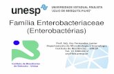 Família Família Enterobacteriaceae Enterobacteriaceae ... · Família Família Enterobacteriaceae Enterobacteriaceae ((EnterobactériasEnterobactérias) Prof. Adj. Ary Fernandes