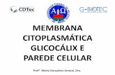 MEMBRANA CITOPLASMÁTICA GLICOCÁLIX E … · Ex. célula absortiva. GLICOCÁLIX É uma projeção da parte mais externa da membrana. Glicoproteína + proteoglicanas + glicolipidios